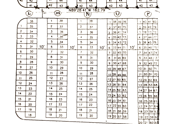 Section L to P